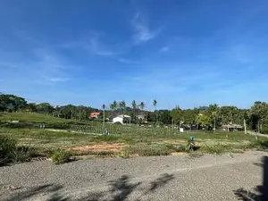 කුරුණෑගල නගරයේ උයන්දන ඉඩම