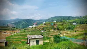 26.3P Land with Senic View for Sale in Ambewela (SL 14331)