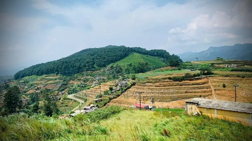 26.3P Land with Senic View for Sale in Ambewela (SL 14331)