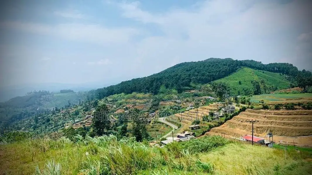 26.3P Land with Senic View for Sale in Ambewela (SL 14331)