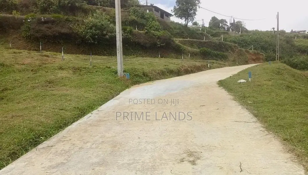 සිසිල් දේශගුණයක් සහිත සුන්දර නුවරඑළිය අගනා බිම් කොටස්