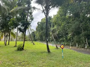 ටවුමට කිට්ටුම හරිත ඉඩම Kurunegala