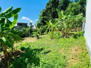 10P Superb land,Just Next to Kahanthota Rd & Close Pittugala Junction