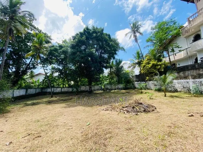 12P Two Lots or 24P Entire Land for Sale Close to Kiribathgoda Town