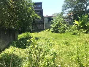 Land for Sale Werahara