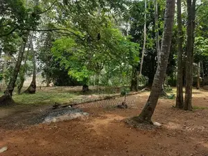 Kelani River Front Land for Sale Ds4425
