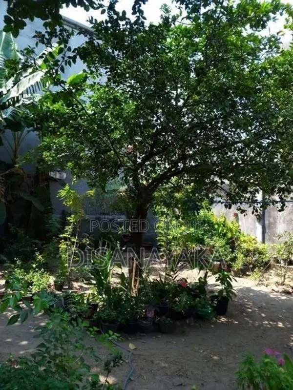 Land with House for Sale Ds7022 - Colombo 8