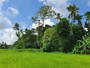 15 Perch Paddy Field View Land on Temple Road, Maharagama (SL 14340)