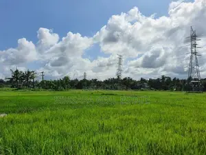 14.2 Perch Paddy Field View Land on Temple Road, Maharagama (SL 14342)