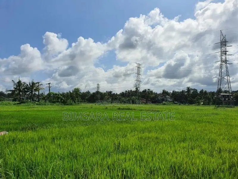 14.2 Perch Paddy Field View Land on Temple Road, Maharagama (SL 14342)