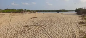 Arugambey : 800p Facing beach and lagoon land at Whiskey point.