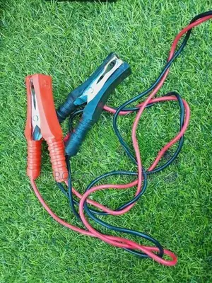 12V / 24V Battery Charger