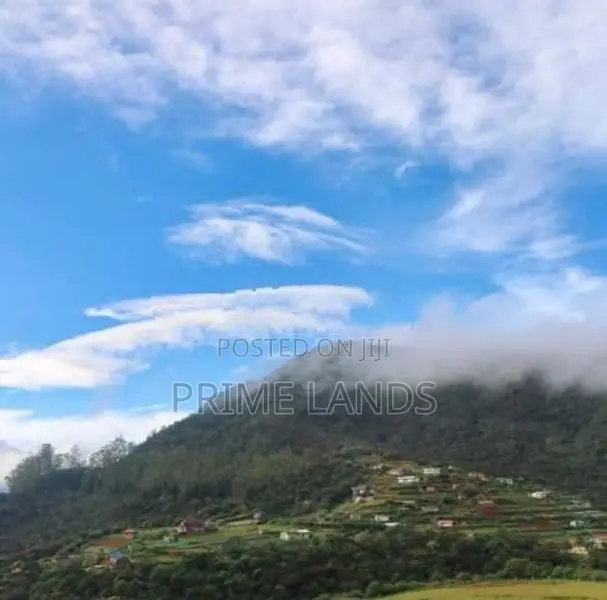 සිසිල් දේශගුණයක් සහිත සුන්දර නුවරඑළිය අගනා බිම් කොටස්