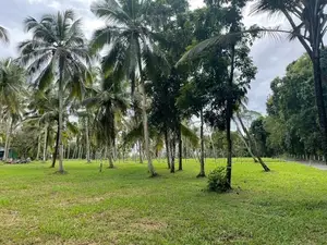 ටවුමට කිට්ටුම හරිත ඉඩම Kurunegala