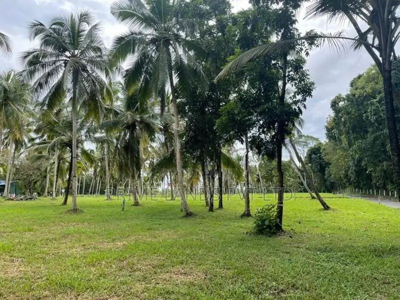 ටවුමට කිට්ටුම හරිත ඉඩම Kurunegala