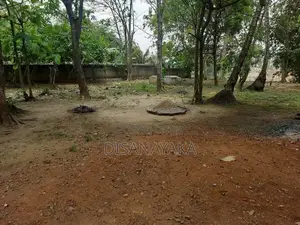 Kelani River Front Land for Sale Ds4425