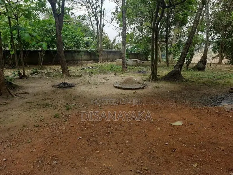 Kelani River Front Land for Sale Ds4425