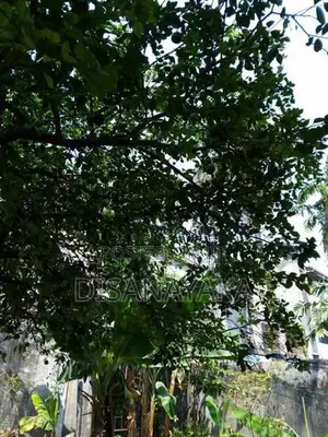 Land with House for Sale Ds7022 - Colombo 8