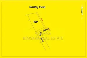 15 Perch Paddy Field View Land on Temple Road, Maharagama (SL 14340)