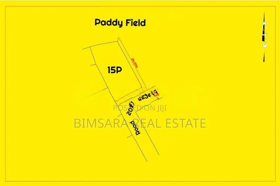 15 Perch Paddy Field View Land on Temple Road, Maharagama (SL 14340)