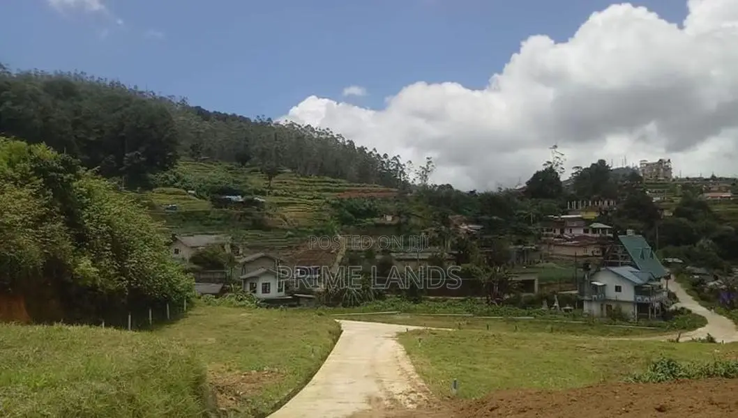 සිසිල් දේශගුණයක් සහිත සුන්දර නුවරඑළිය අගනා බිම් කොටස්