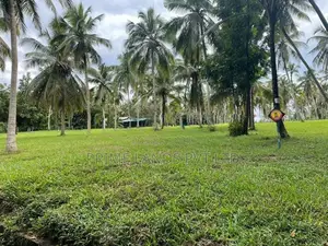 ටවුමට කිට්ටුම හරිත ඉඩම Kurunegala