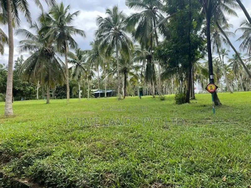 ටවුමට කිට්ටුම හරිත ඉඩම Kurunegala
