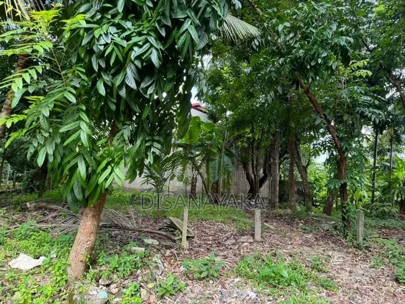 Lake Front Land for Sale Ds6030 - Kotiyagoda