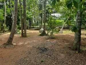 Kelani River Front Land for Sale Ds4425