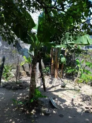 Land with House for Sale Ds7022 - Colombo 8