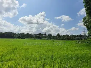 15 Perch Paddy Field View Land on Temple Road, Maharagama (SL 14340)