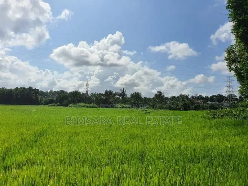 15 Perch Paddy Field View Land on Temple Road, Maharagama (SL 14340)