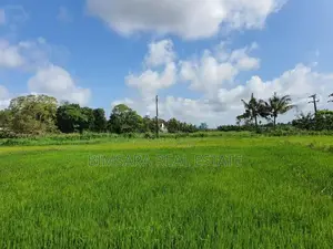 14.2 Perch Paddy Field View Land on Temple Road, Maharagama (SL 14342)
