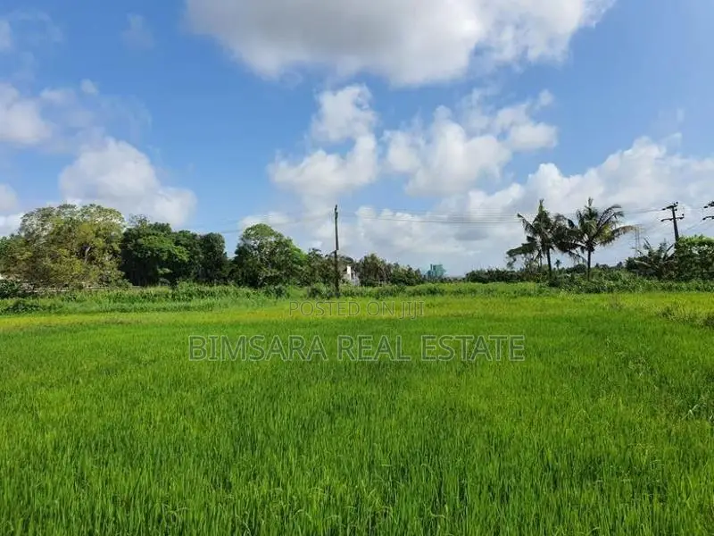 14.2 Perch Paddy Field View Land on Temple Road, Maharagama (SL 14342)