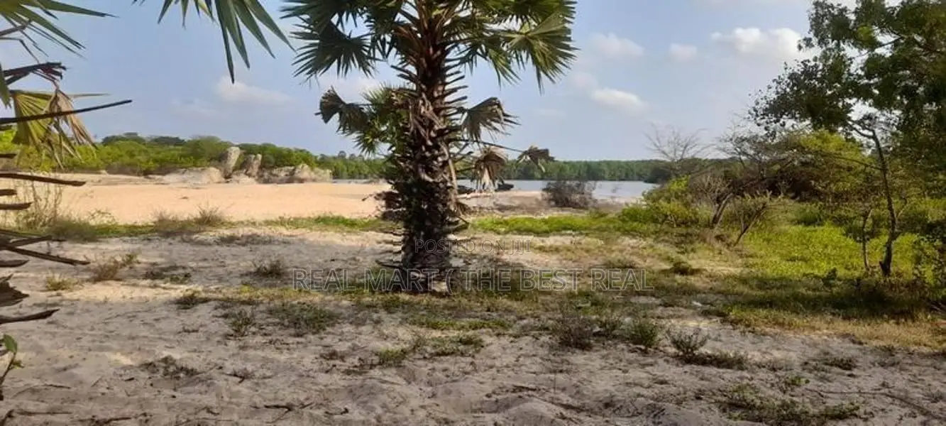 Arugambey : 800p Facing beach and lagoon land at Whiskey point.