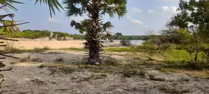 Arugambey : 800p Facing beach and lagoon land at Whiskey point.