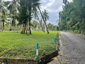 ටවුමට කිට්ටුම හරිත ඉඩම Kurunegala