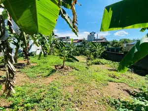10P Superb land,Just Next to Kahanthota Rd & Close Pittugala Junction