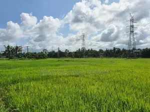 12.8 Perch Paddy Field View Land on Temple Road, Maharagama (SL 14341)