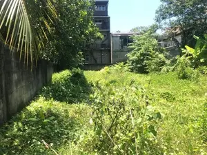 Land for Sale Werahara