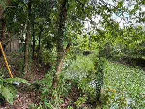 Lake Front Land for Sale Ds6030 - Kotiyagoda