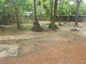 Kelani River Front Land for Sale Ds4425