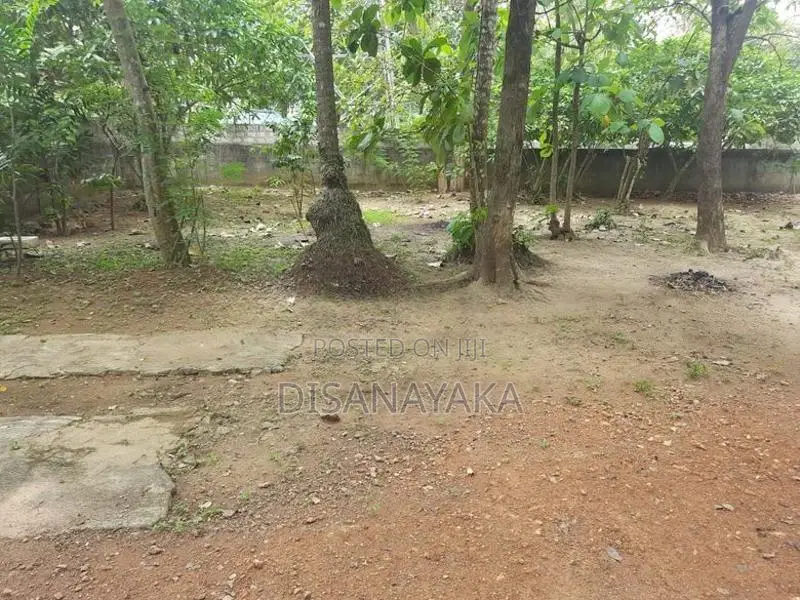 Kelani River Front Land for Sale Ds4425