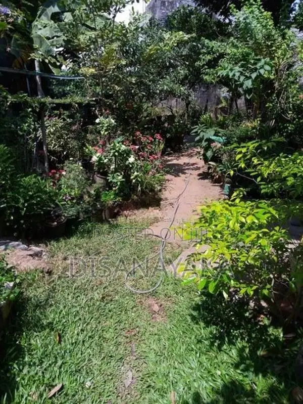 Land with House for Sale Ds7022 - Colombo 8