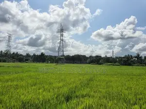 15 Perch Paddy Field View Land on Temple Road, Maharagama (SL 14340)