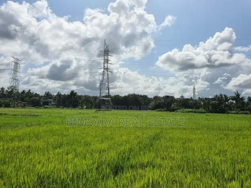 15 Perch Paddy Field View Land on Temple Road, Maharagama (SL 14340)