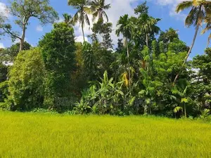 14.2 Perch Paddy Field View Land on Temple Road, Maharagama (SL 14342)