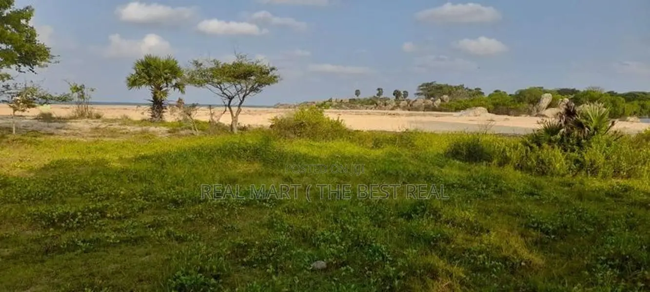 Arugambey : 800p Facing beach and lagoon land at Whiskey point.