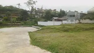 සිසිල් දේශගුණයක් සහිත සුන්දර නුවරඑළිය අගනා බිම් කොටස්