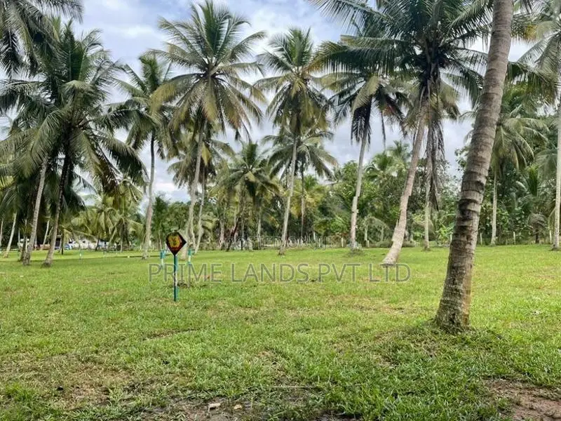 ටවුමට කිට්ටුම හරිත ඉඩම Kurunegala